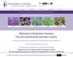 Downderry Nursery