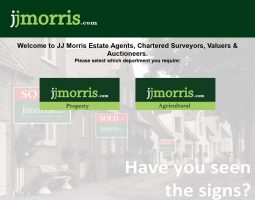 J.J. Morris