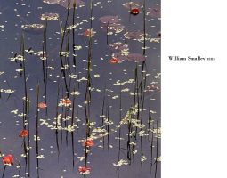 William Smalley